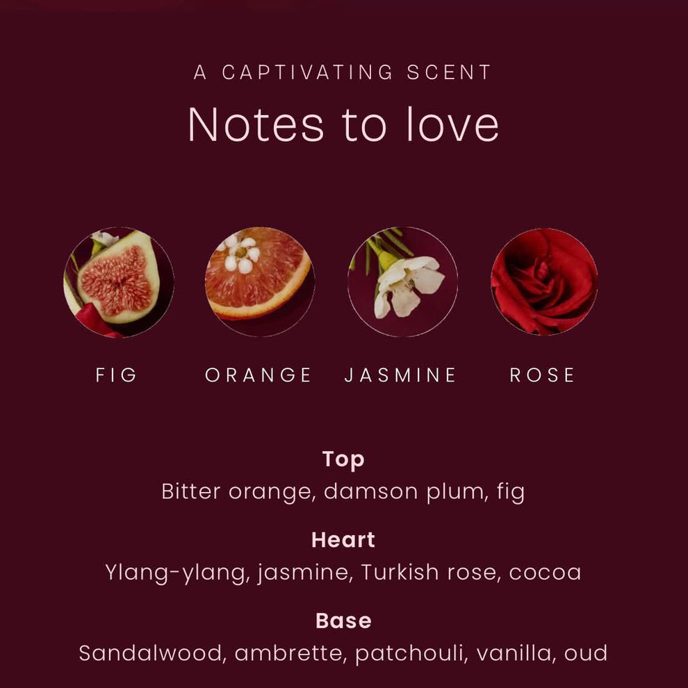 Pure Passion Bundle