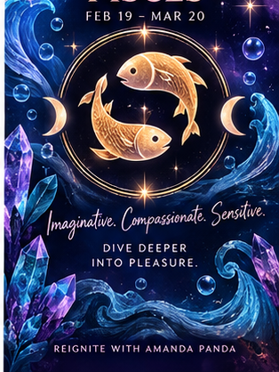 Zodiac Pleasure Bags (LIMITED)