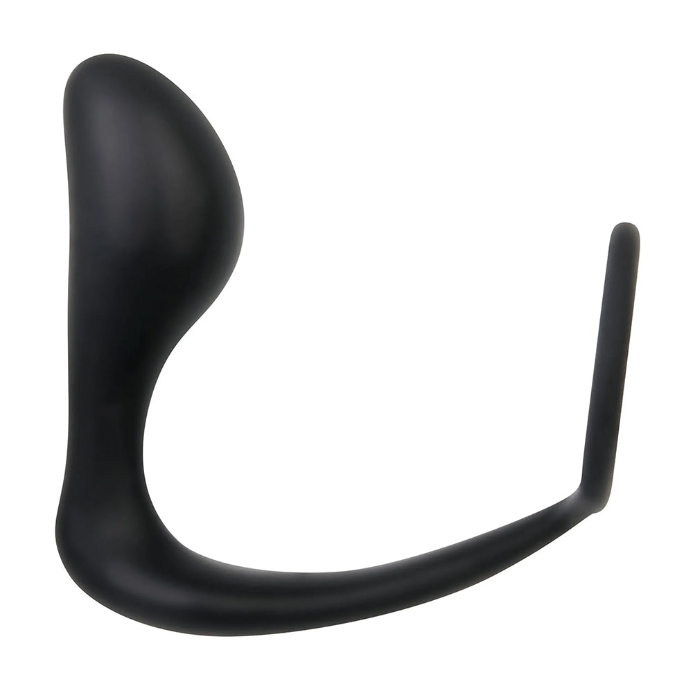 Intro To Prostate Kit