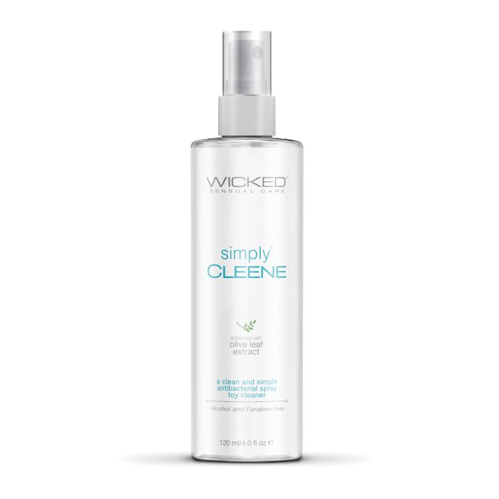 Keep It Clean Set - Antibacterial Toy Cleaner plus Locking Storage