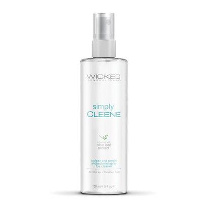 Keep It Clean Set - Antibacterial Toy Cleaner plus Locking Storage